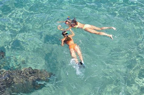 Our Favorite Snorkeling Spots In St Thomas Sabrage Day Charter Blog