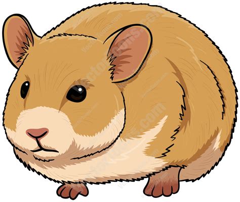 Free Hamster Cliparts Download Free Hamster Cliparts Png Images Free Cliparts On Clipart Library