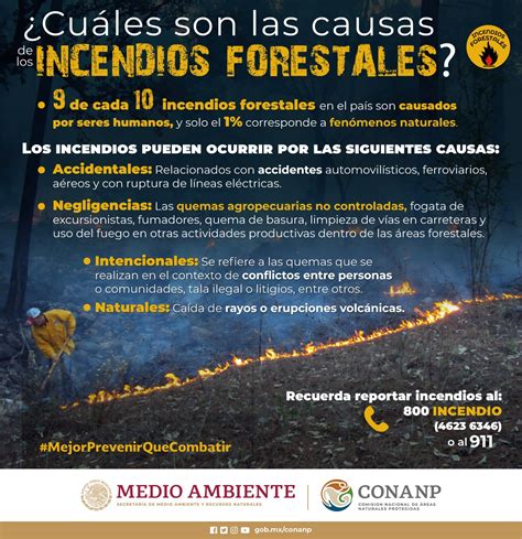La Conanp Se Prepara Para Atender Incendios Forestales En 2021