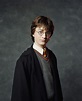 Harry Potter - Books Male Characters Photo (29856065) - Fanpop
