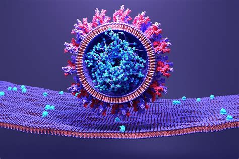 Scientists Discover Opportunity To Disrupt Sars Cov Dynamics Prevent