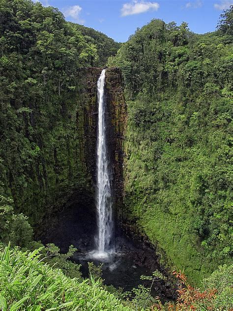 Akaka Falls Big Island Hawaii Photograph By Daniel Hagerman