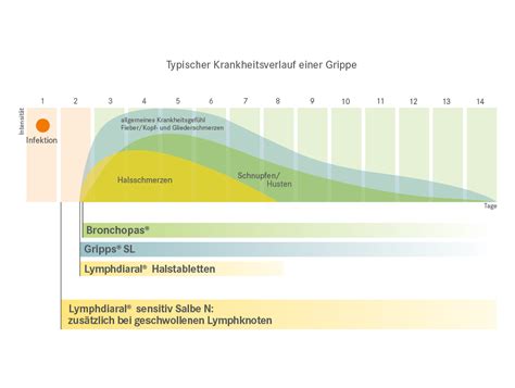 Grippe bzw. Influenza: Ursachen, Symptome & mehr