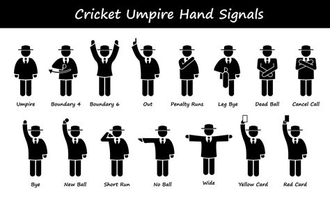 Cricket Umpire Signals