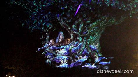 Wdw Disneys Animal Kingdom Tree Of Life Awakenings Wintry Tale