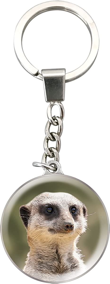 Deluxebase Magnidome Keychains Meerkat From Crystal Glass