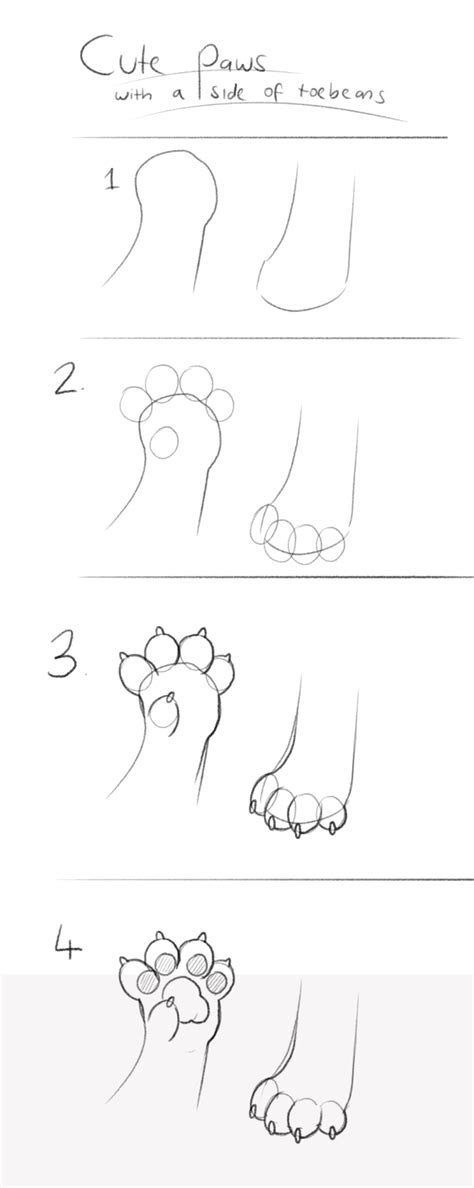 9 Furry Paws Reference Kashakerrie