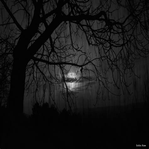 Dark Forest On Tumblr