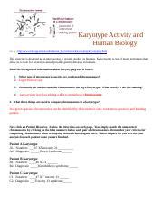17 Karyotype Activity Doc Karyotype Activity And Human Biology Go To