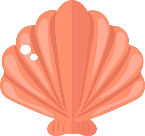 Shell Clipart Clam Shell Clipart Stunning Free Transparent Png My Xxx Hot Girl
