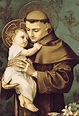 Saints of the Faith: Saint Anthony of Padua, Priest and Doctor of the ...