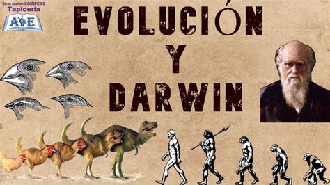 Download Aportaciones De Darwin Para Explicar La Evolución