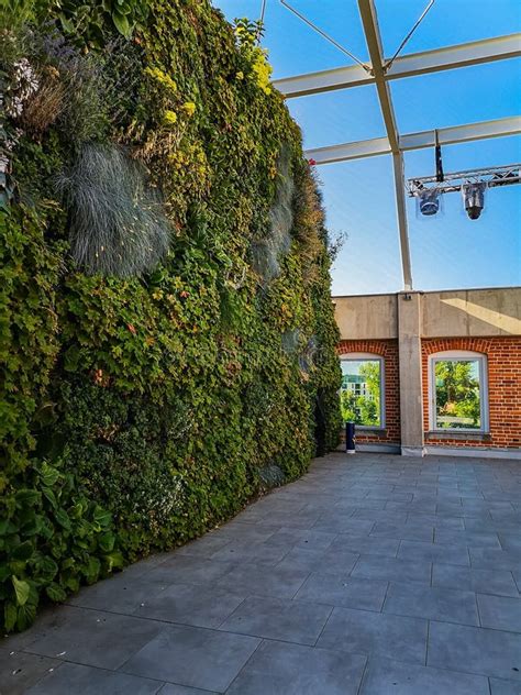 Green Wall Full Of Flowers And Bushes Inside Concordia Design Building