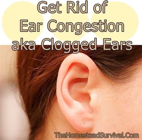 Get Rid Of Ear Congestion Aka Clogged Ears Homesteading The Homestead