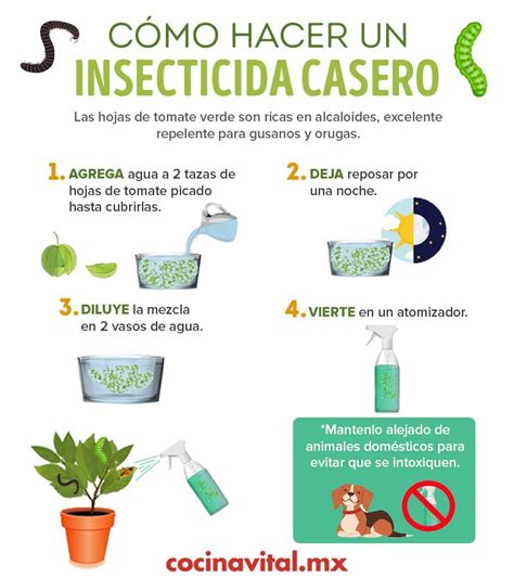 Insecticidas Caseros Para Eliminar La Plaga De Tus Plantas Cocina