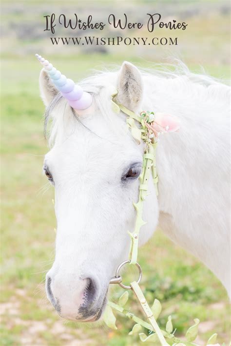 Pastel Rainbow Unicorn Horns For Horses And Ponies