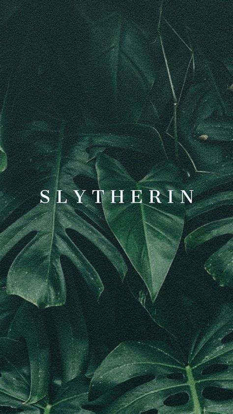 Slytherin Lockscreen Hogwarts Aesthetic Slytherin Wallpaper