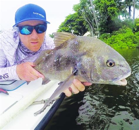 The Black Drum Bite Has Been Killer Coastal Angler And The Angler Magazine