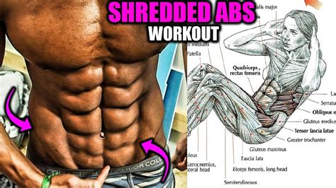 SHREDDED PACK ABS WORKOUT EXERCISES YouTube
