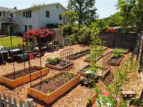 How To Build A Simple Vegetable Garden In 2023 Easy Backyard