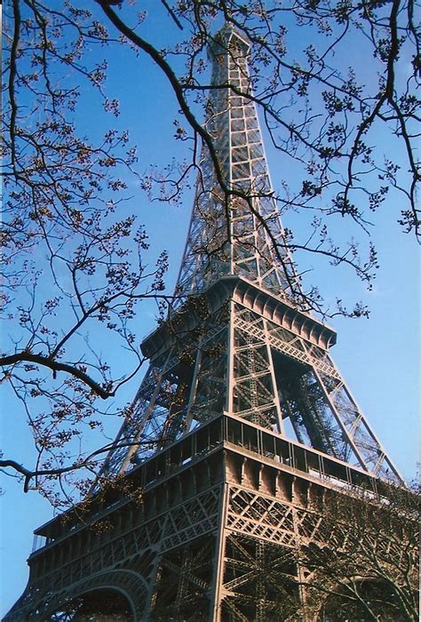 Eiffel Tower~believe It Or Not I Took The Stairs To The Top Places To