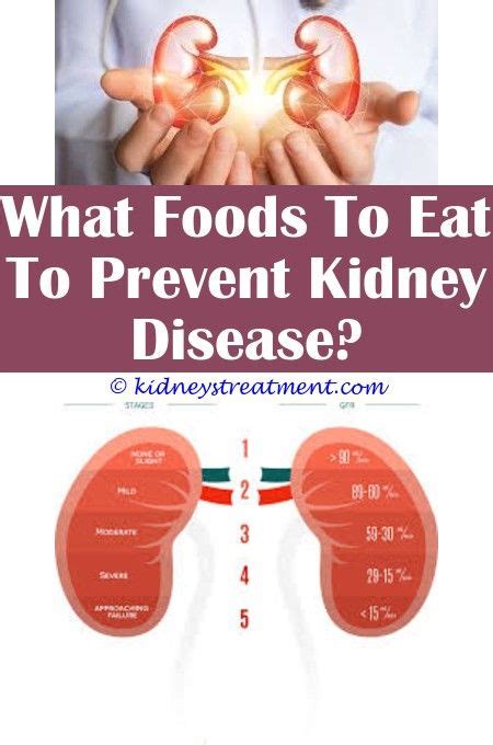 Discuss with significant others the lifestyle changes that may be required with chronic renal failure. Miraculous Useful Ideas: Food For Cats With Kidney Disease ...