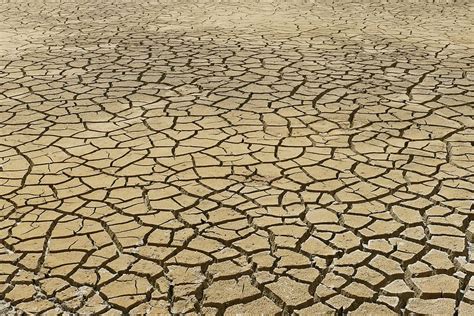 Free Download Dry Dehydration Drought Rip Crack Earth Ground