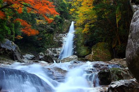 日本の滝100選 十津川村、「笹の滝」 ぶらり自然散歩