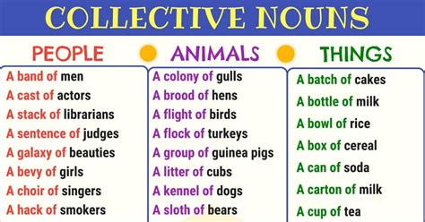 collective noun definition list and examples of collective nouns in english