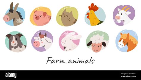Cute Farm Animals With Face Expressions Domestic Animal Avater