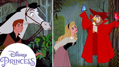 Princess aurora and prince philip ~ name cartoons. How Did Aurora Meet Prince Phillip? | Disney Princess ...