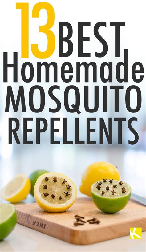 13 Best Homemade Mosquito Repellents Mosquito Repellent Homemade Diy