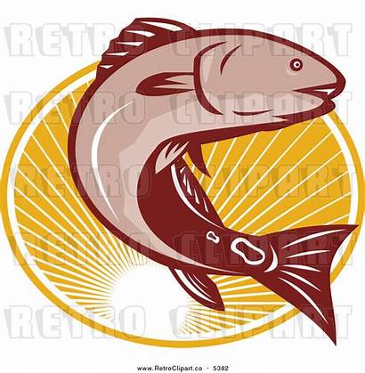 Clipart Smoked Trout Fish Clip King Drum