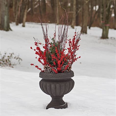 Winter Containers Container Design Container Plants Christmas