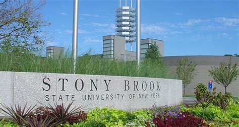 What Will They Learn State University Of New York Stony Brook