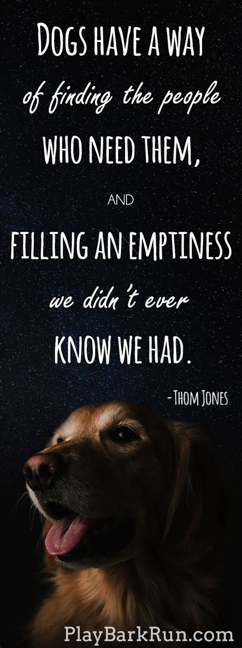 29 Inspirational Dog Quotes About Life And Love Playbarkrun