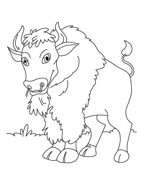 Dibujos De Bisonte 1219 Animales Para Colorear Y Pintar Páginas