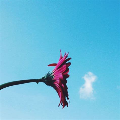 10 Tips For Taking Stunning Minimalist Iphone Photos Photography