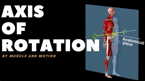 Understanding Axes Of Movementrotation