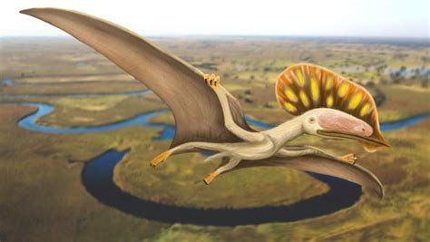 New Pterosaur Species Identified From Fossil Found In England Paleontology Sci