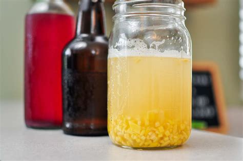 How To Make A Ginger Bug For Homemade Soda The Fermentation Adventure