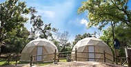 長洲西園農莊 Saiyuen Camping & Glamping Staycation 優惠比較 | 格價、評論及預訂 - HyperAir