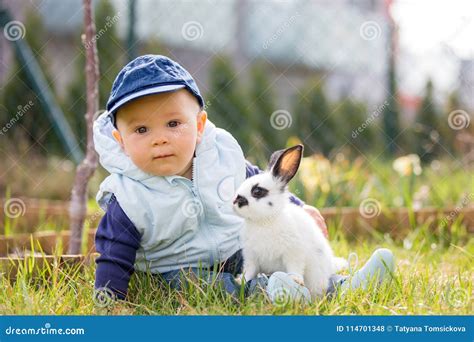 Cute Little Baby Boy Child Playing Little Bunny In Park Stock Photo