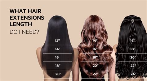 Hair Extensions Length Guide Hair Extensions Of Houston