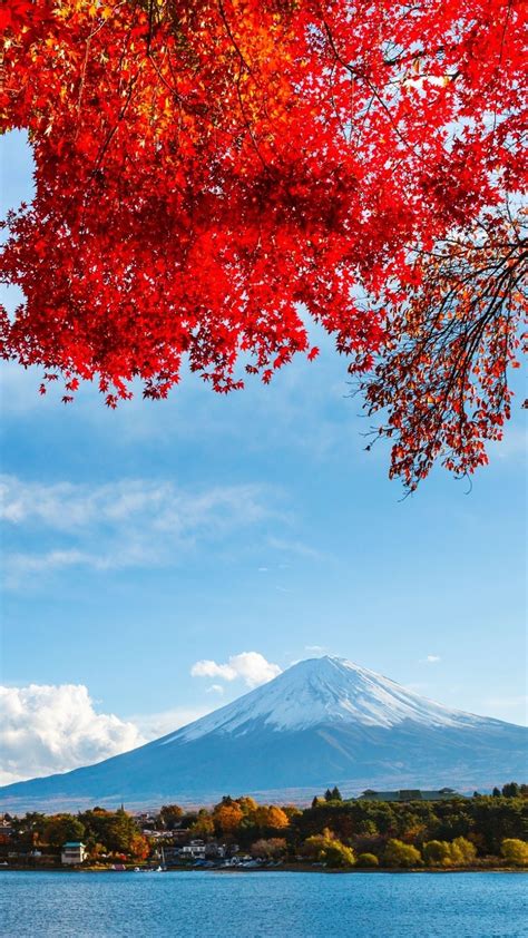 Fujiyama Earth Mount Fuji Volcanoes Fall Japan Volcano 1080x1920