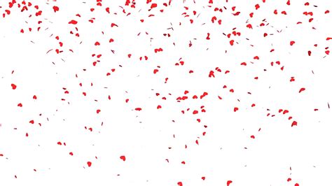 Red Confetti Png Free Logo Image