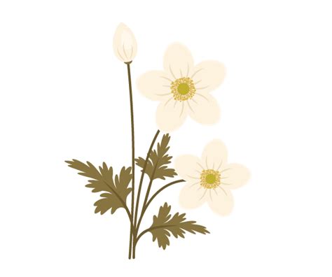 How To Create Spring Flowers From Basic Shapes In Adobe Illustrator
