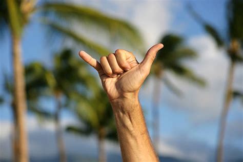 Shaka Sign Pictures Images And Stock Photos Istock