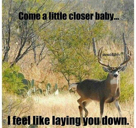 Omg Love Dierks Bentley Deer Hunting Humor Hunting Humor Funny