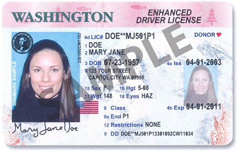 Washington Driver License Number Southernclever